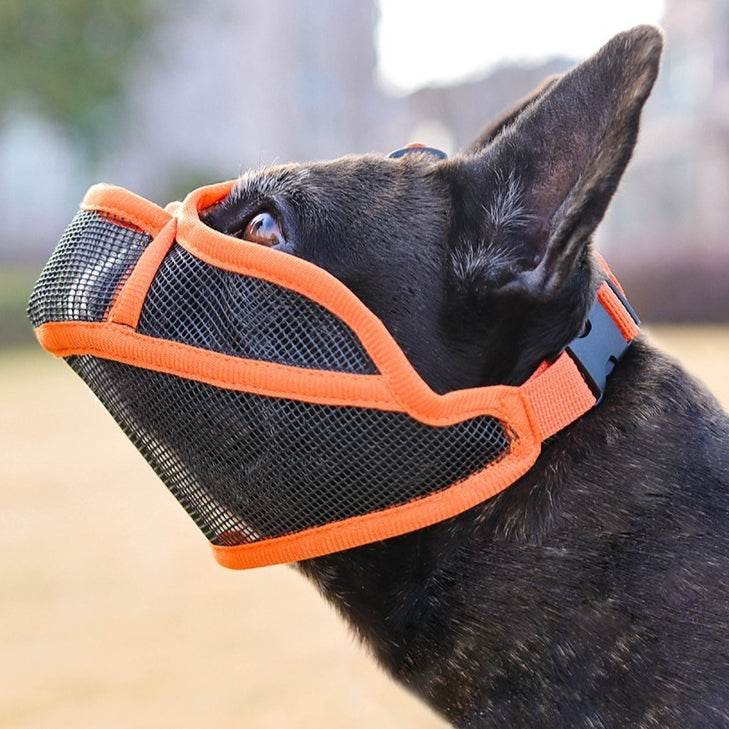 Masque de chien anti-ingestion
