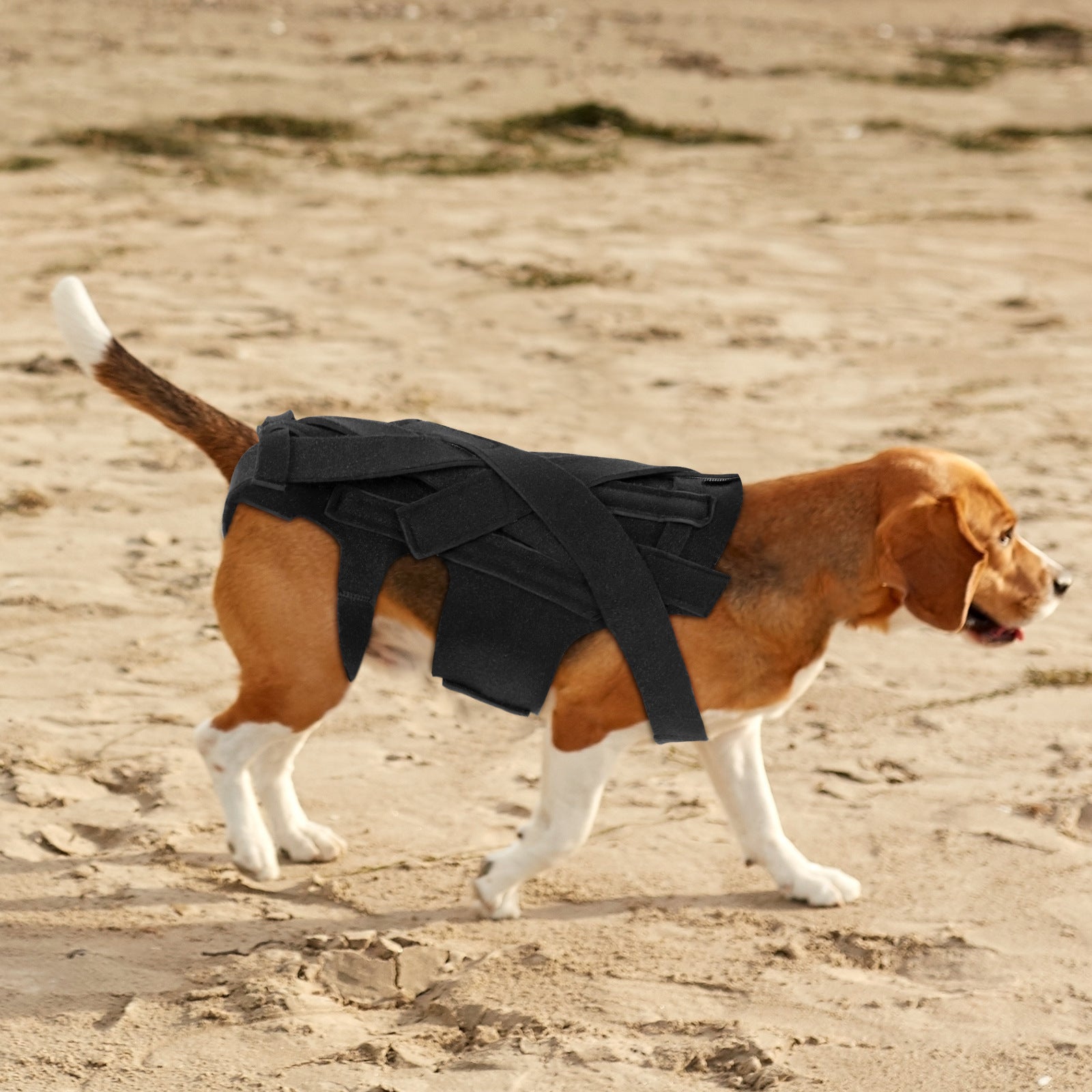 Veste de secours pour chiens de compagnie