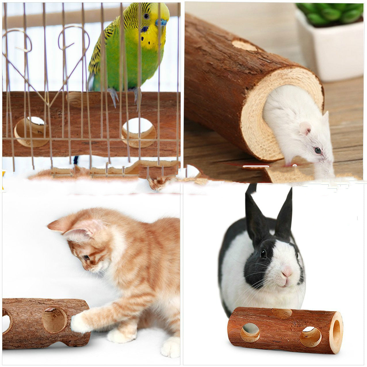 Hamster Pipe en bois massif Bird Platform Rabbit Molar Chiens et chats Toy Tree Tube