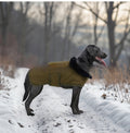 Le manteau de chien de même style est durable et résistant au froid