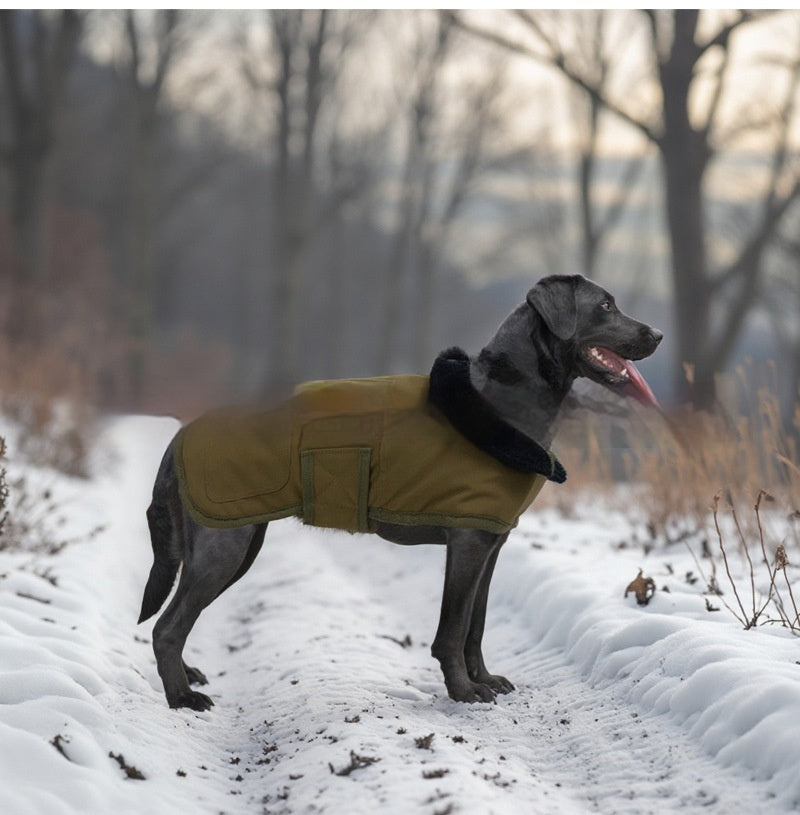 Le manteau de chien de même style est durable et résistant au froid