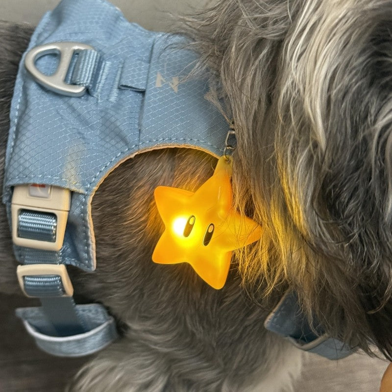 Pendentif de randonnée pour chiens de nuit léger un petit accessoire anti-perte pour votre ami furry