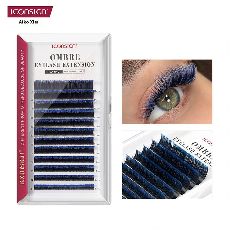 Cils de couleur graduée simple Graft