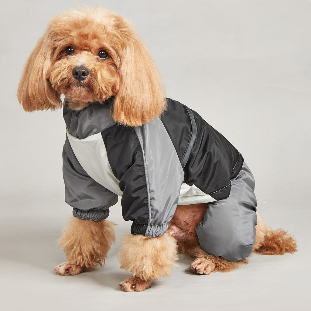 Animaux d'hiver couleur matching coton rembourré vêtements chien moyen grand chien chaud et confortable