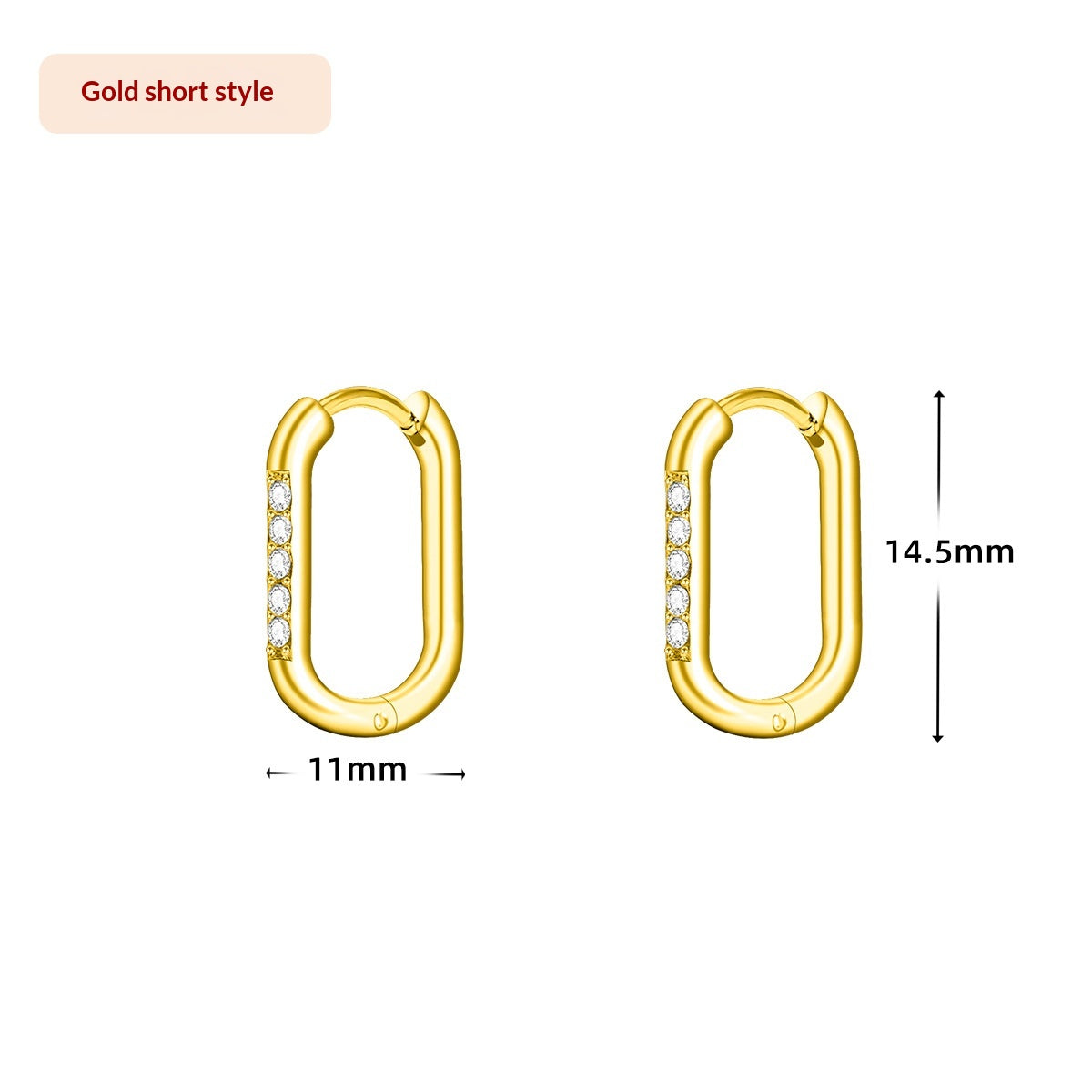 Boucles d'oreilles Zircon en acier de titane pour femmes