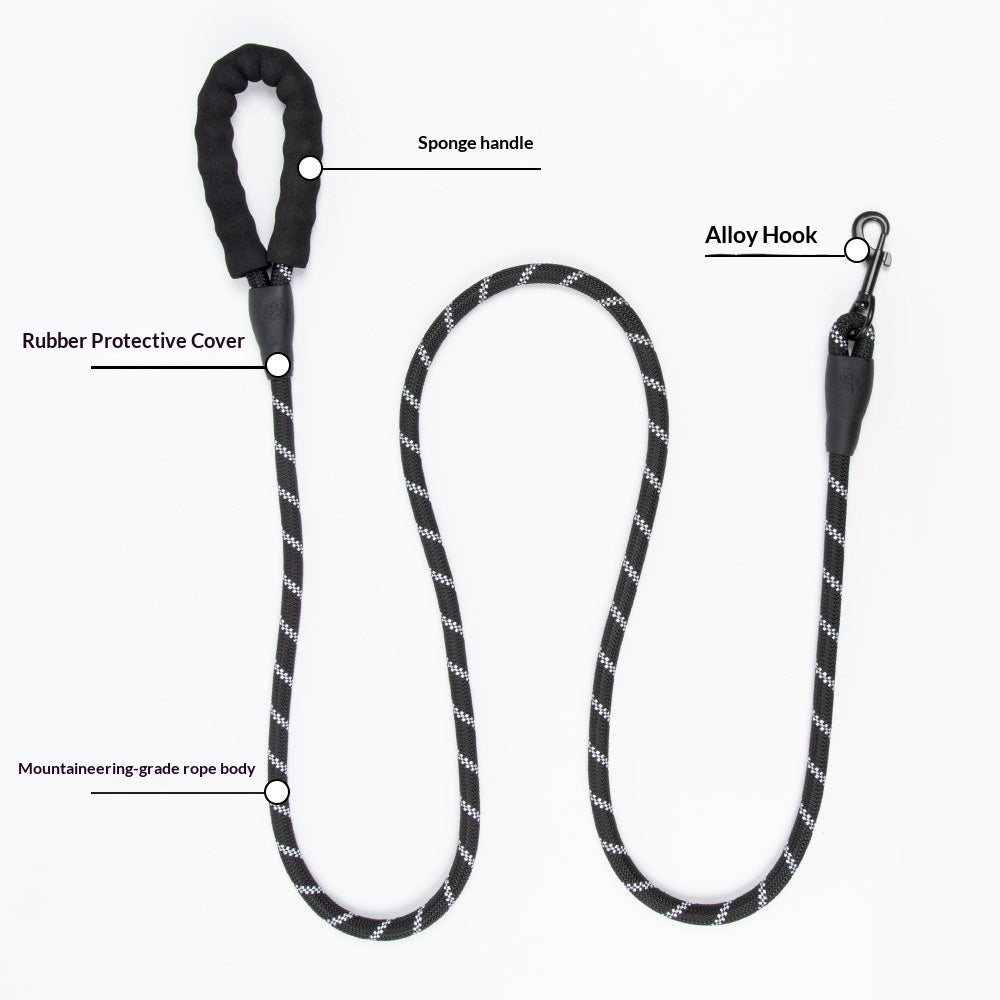 Explosion-Proof Reflective Pet Bungee Leash