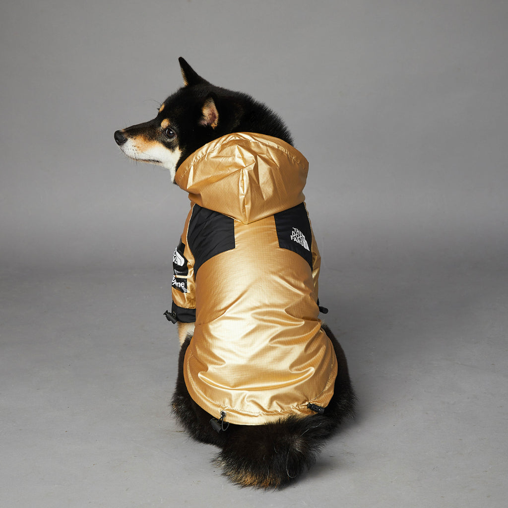 Veste imperméable et coupe-vent pour grand chien