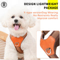 Harnais retro pour chien tenant la main