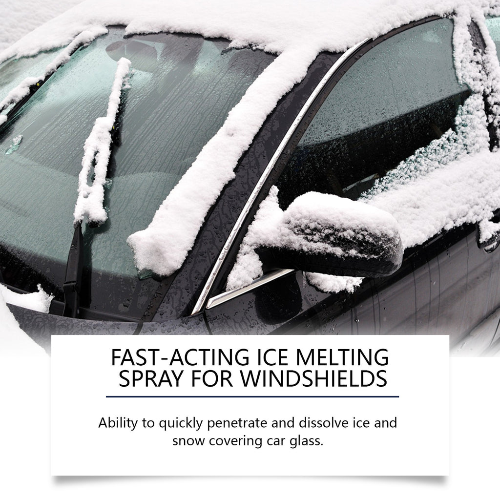 Rayhong Pare-brise De-Icing Spray pour pare-brise de voiture
