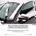 Rayhong Pare-brise De-Icing Spray pour pare-brise de voiture