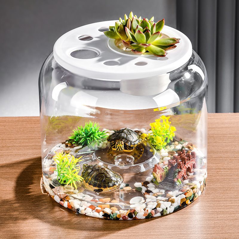 Transparent plastique bureau écologique aménagement paysager alimentation réservoir de poisson