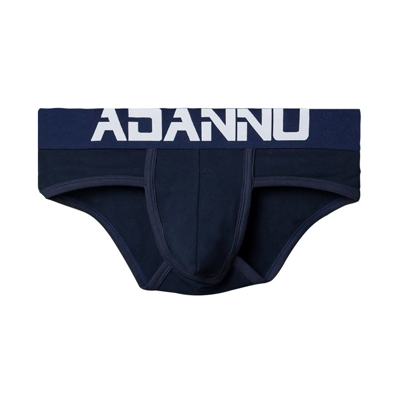 Slip homme Sexy Pure Cotton Confortable Simple Trendy Lettres Basse taille Respirant U Pou