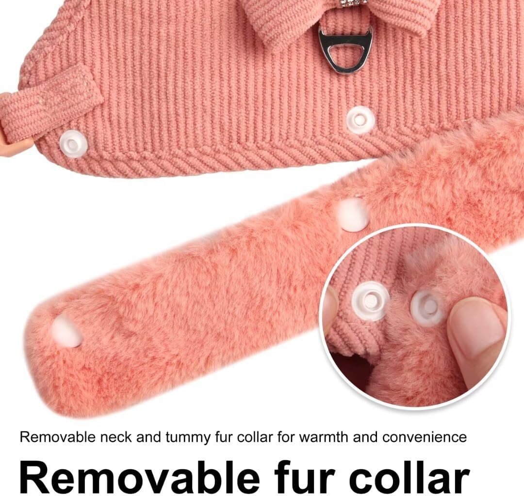 Mignon chaud petit chien Harnais et jeu de laisse avec Bow Tie