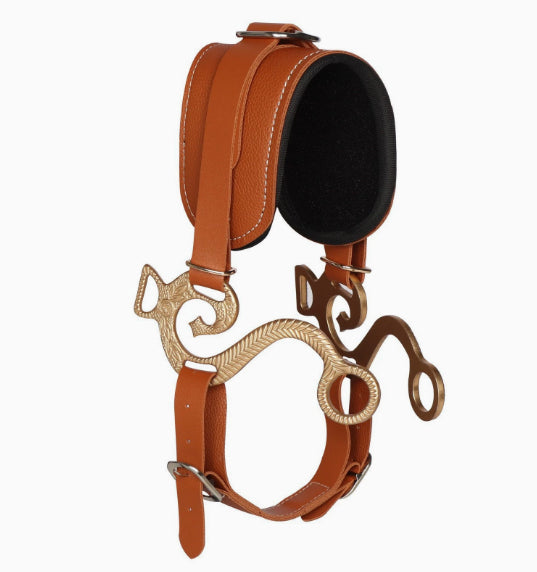 Entraînement Cheval Halter Équipement Cheval en cuir Cheval Bridle Durable Equestre Equestre Equestre