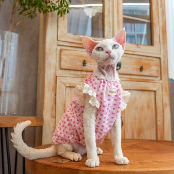 Sphynx Cat robe de coton d'été avec coeurs et vêtements de dentelle pour chats sans cheveux Devon Rex