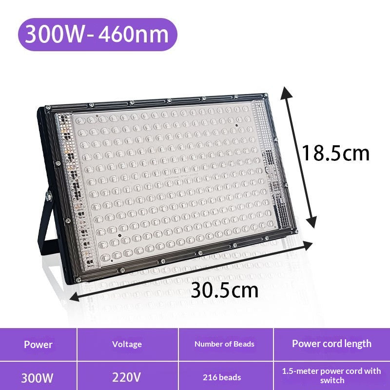 LED UV Irradiation Partie fluorescente Tanning Purple Light
