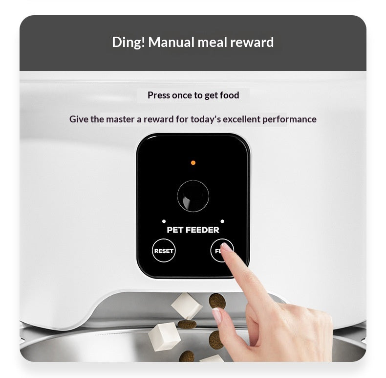 Alimentation automatique pour chiens