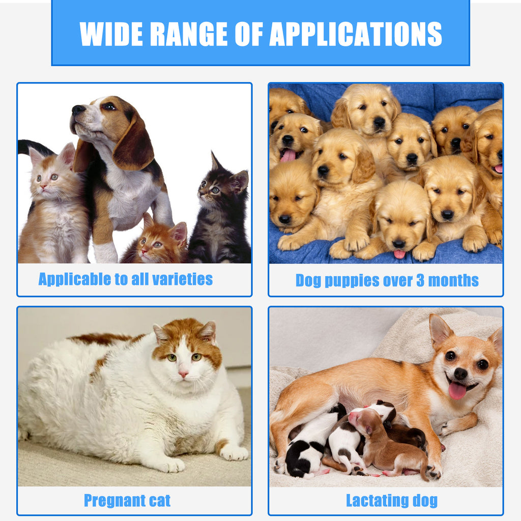 Spray naturel de la plaie pour les chats chiens soins de la peau coupes anti démangeaison allergies Inflammation Reli