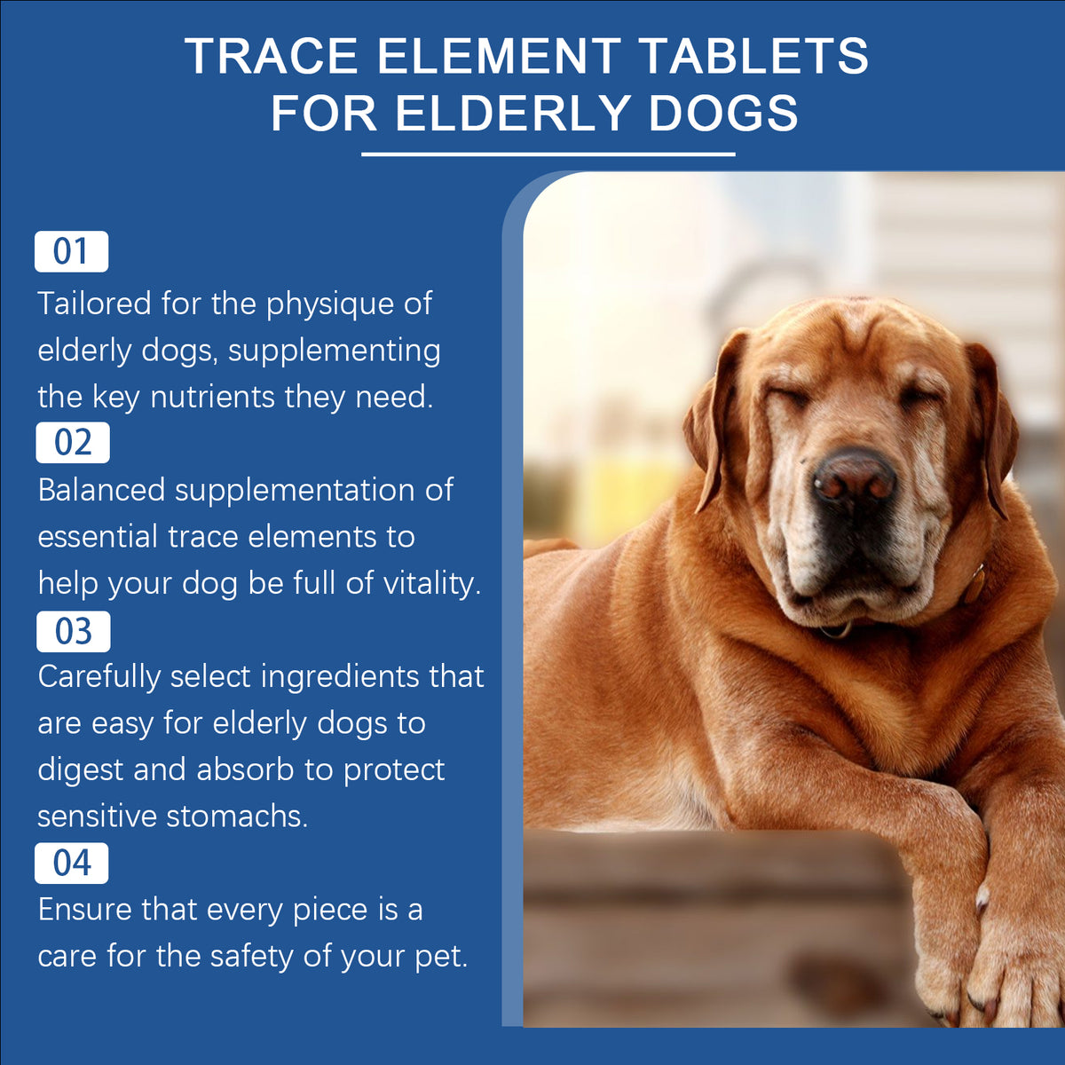 Trace Element Tablets for Senior Dogs Multimineral Supplement for Aging Canines
