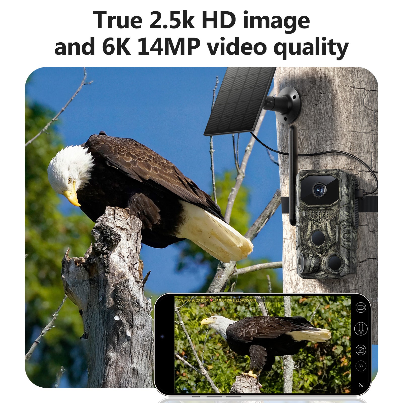 4G GPS Hunting Outdoor Trail Caméra grand angle 4MP Camouflage Wildlife Deer Monitoring Sol