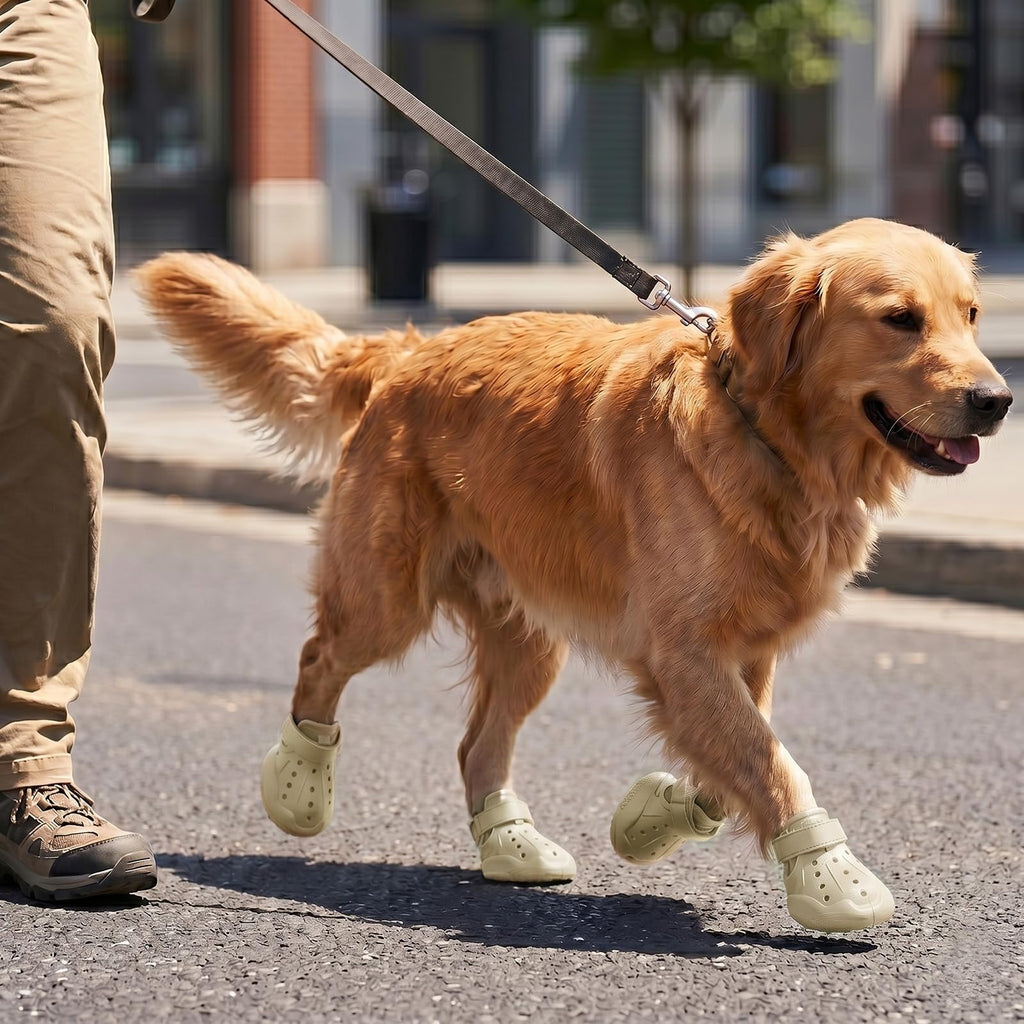Chaussures pour chiens