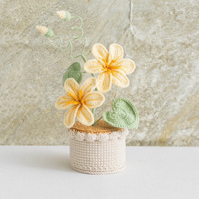 Bouquet en pot tissé à la main