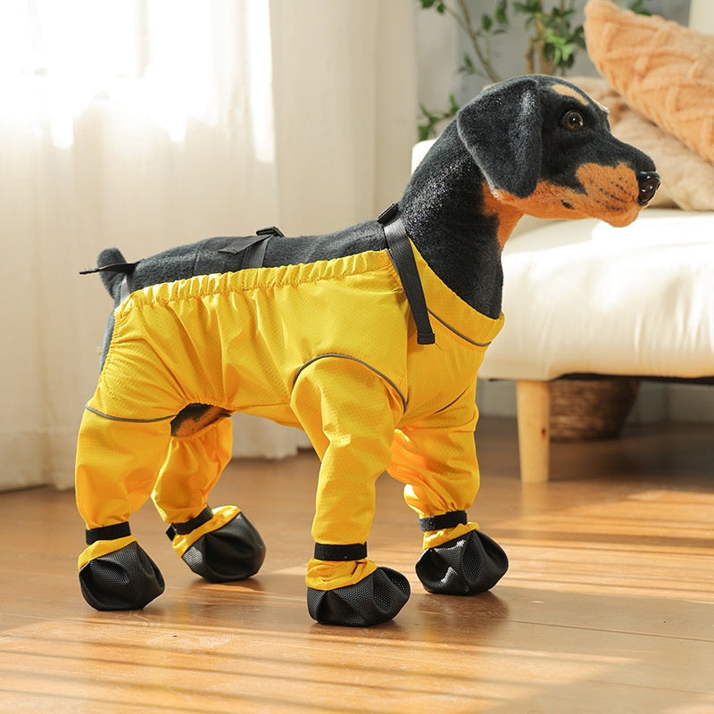 Pantalons anti-salissure de chien Couverture de chaussures de sortie