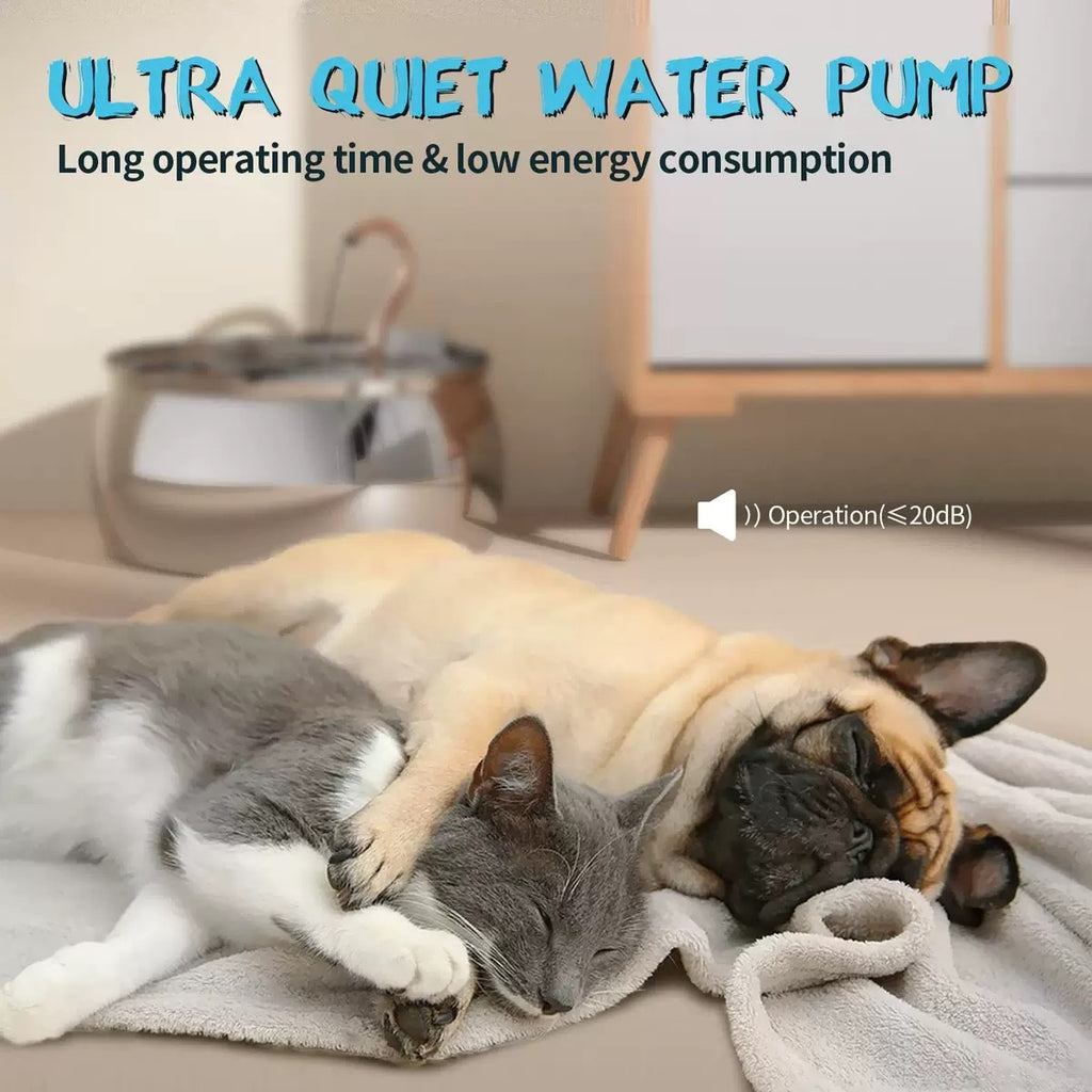 Chat buvant d'un robinet en acier inoxydable
