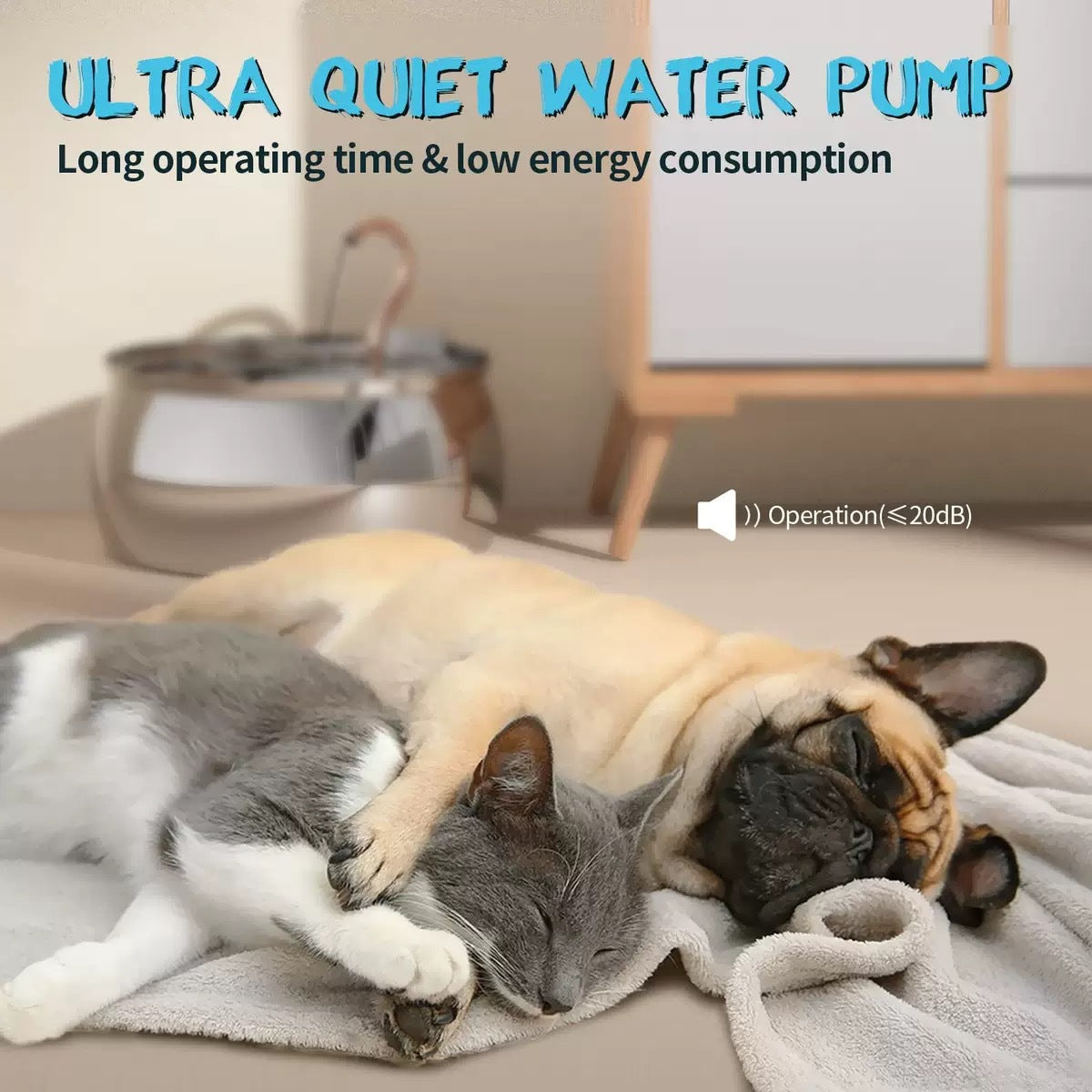Chat buvant d'un robinet en acier inoxydable