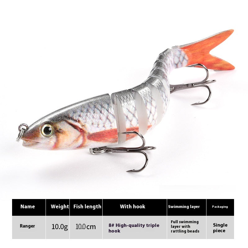 Morceau de lièvre bionique de poissons multisections