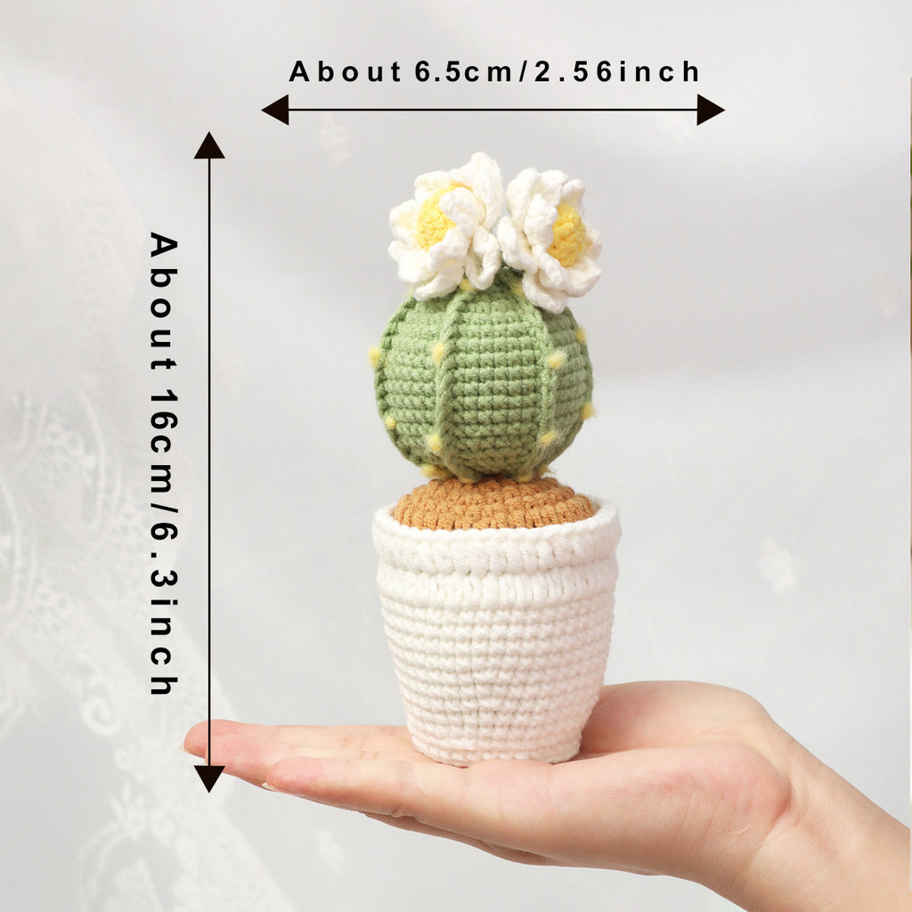 Crochet fait main fleur Cactus Pot Ornement fil doux pérenne Crochet plante Blooms
