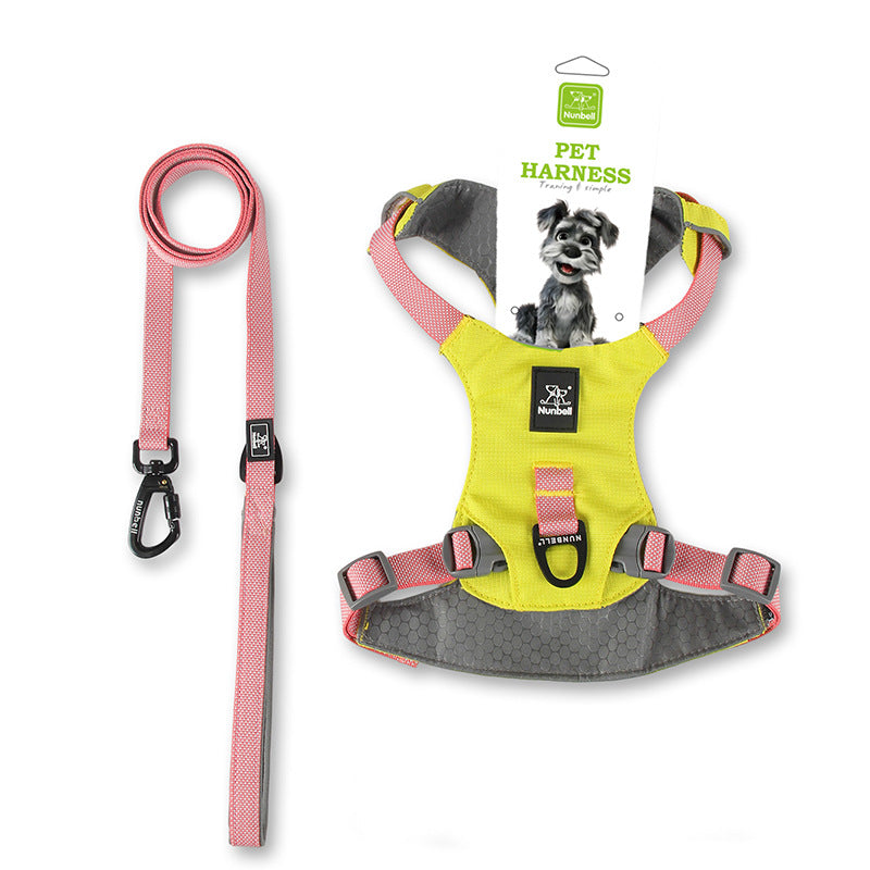 Ensemble de laisses pour chiens conçu pour empêcher le tirage adapté aux petits chiens moyens et grands
