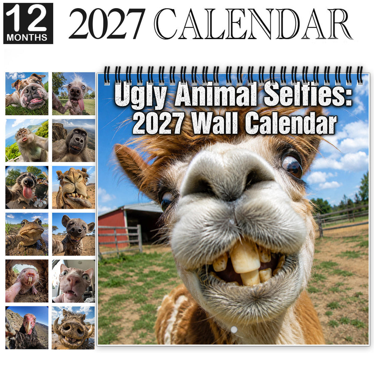 Calendrier mural de Selfie d'animaux mignon et bizarre