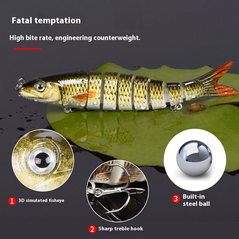 Morceau de lièvre bionique de poissons multisections