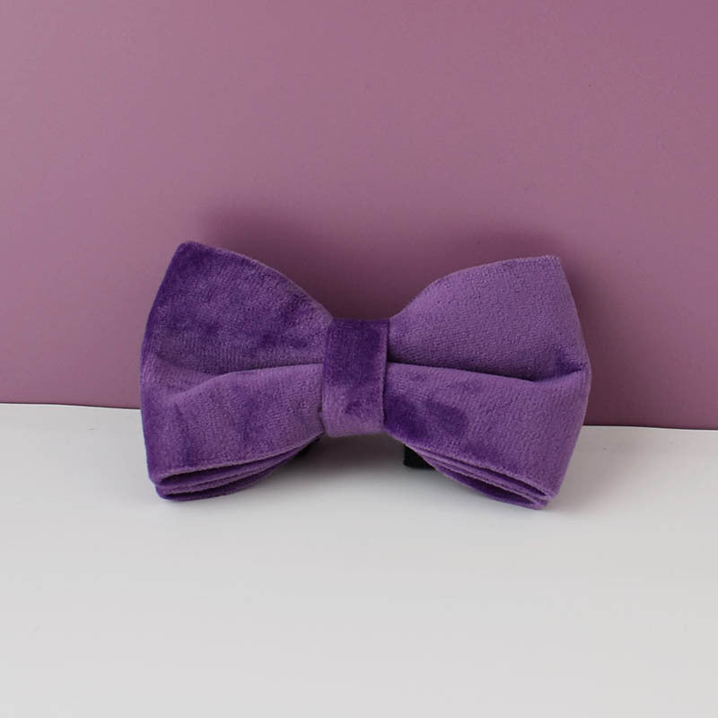 Collier de chien en peluche et fournitures pour animaux de compagnie en laisse
