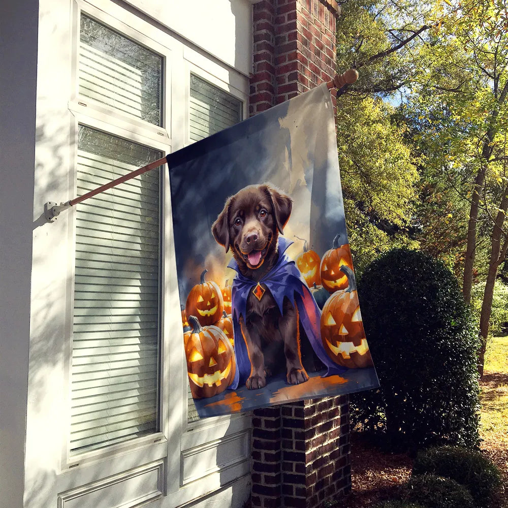Chocolat Labrador Retriever Puppy Halloween House Drapeau Grand Porc Manches Pole décoratif