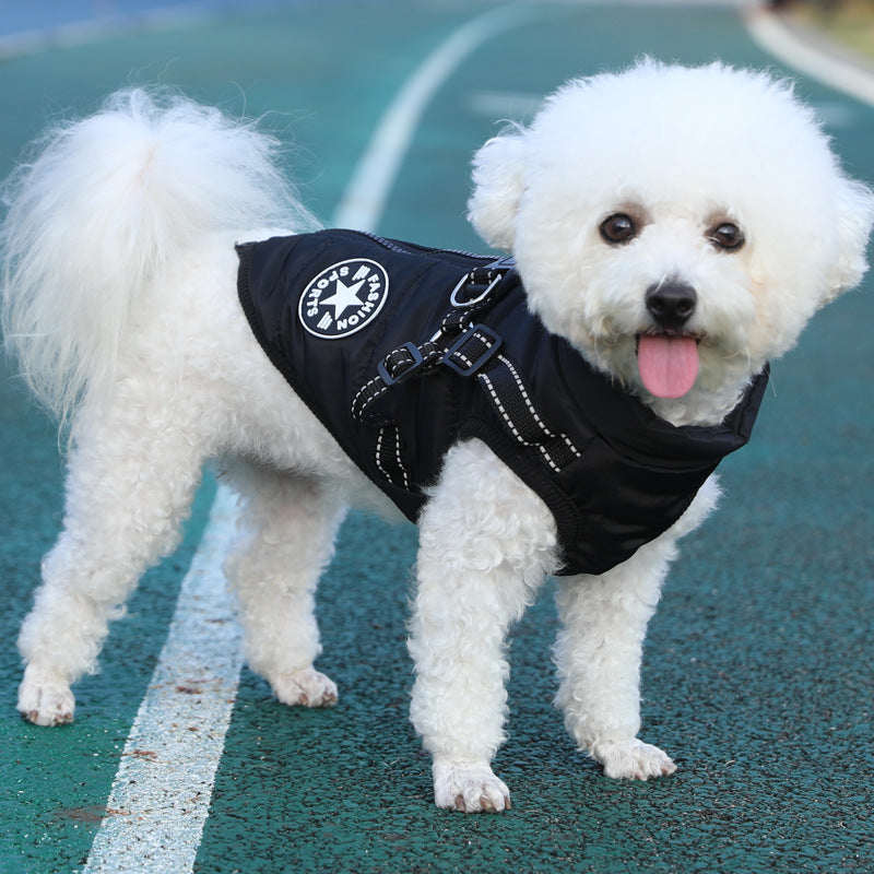 Chien chaud d'animal Enduit de coton avec laine épaisse