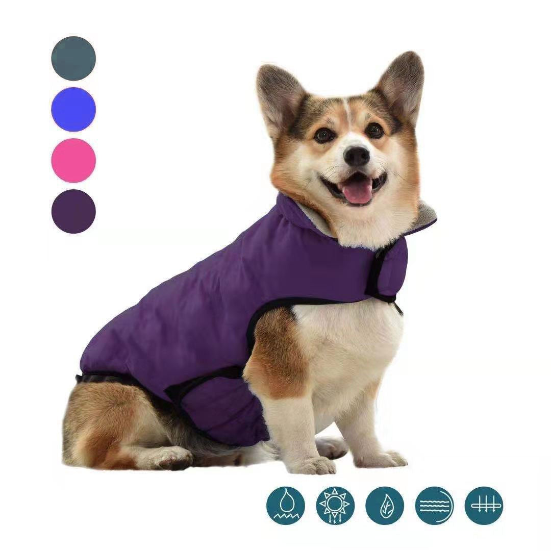 Vêtements de chien d'automne et de coton d'hiver