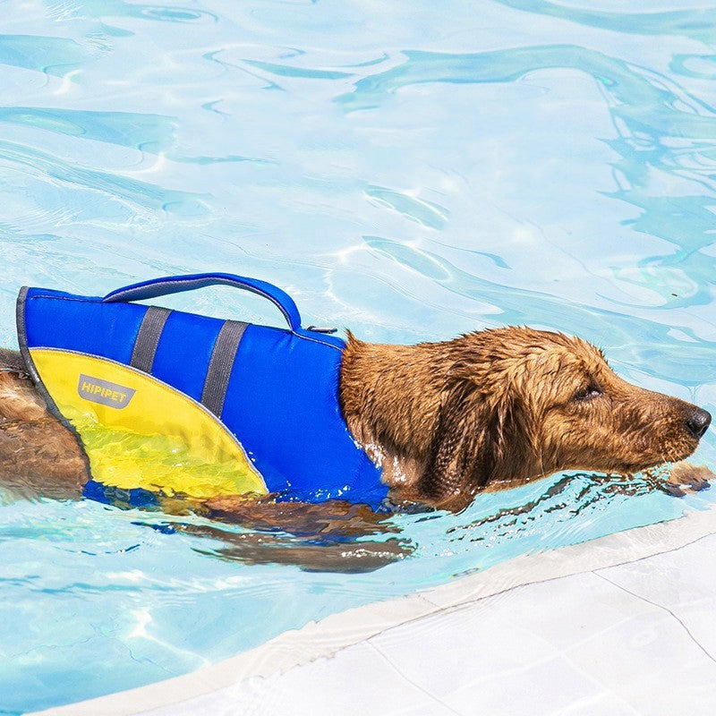 Veste de sauvetage pour chien de taille moyenne
