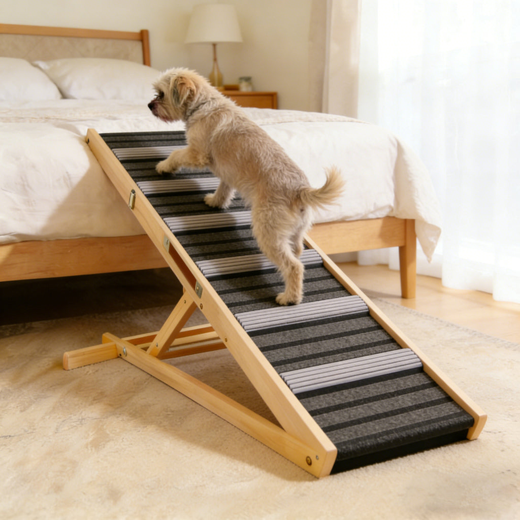 Rampe de chien améliorée pour Couch