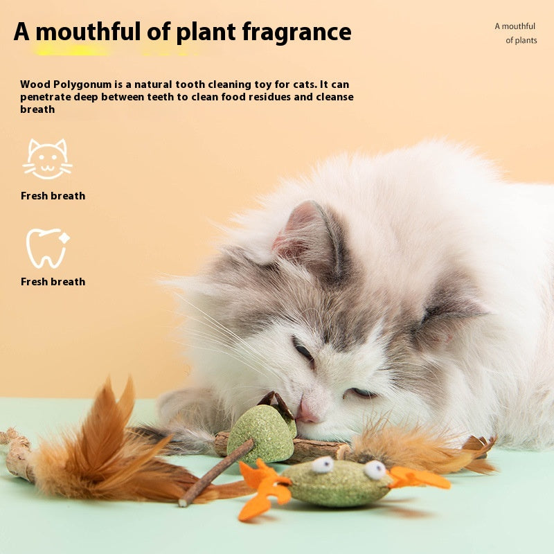 Jouet multiflore polygone au panais auto-hi