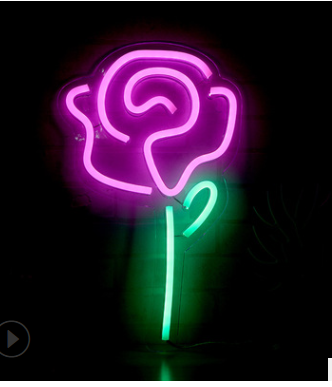 Lumière LED au néon