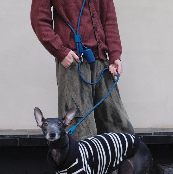 Pet Leash Hands-free Cross-body Waist-worn Multi-fonctionnel