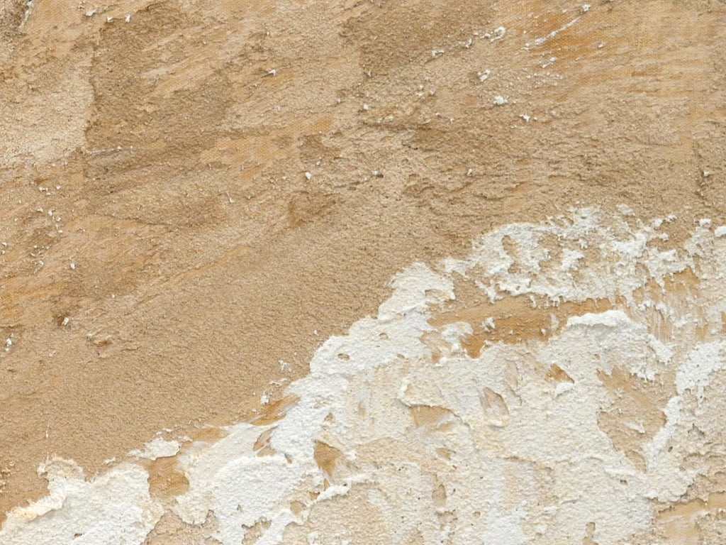 24x48 Neutre Plage Paysage Toile Wall Art