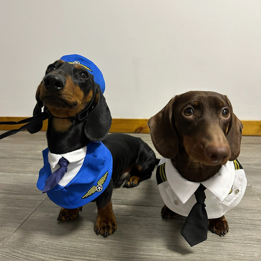 Dachshund Dog drôle vêtements Halloween costume