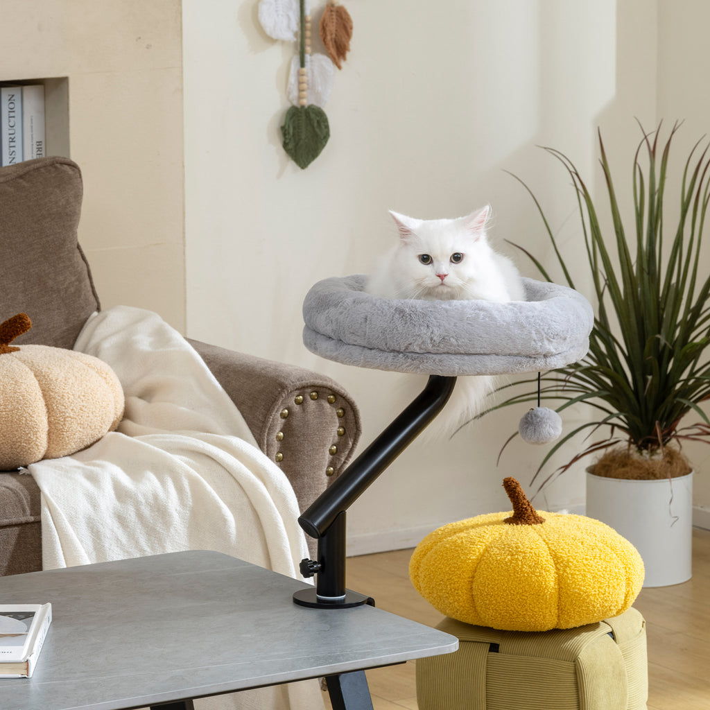Lit de bureau pour chats