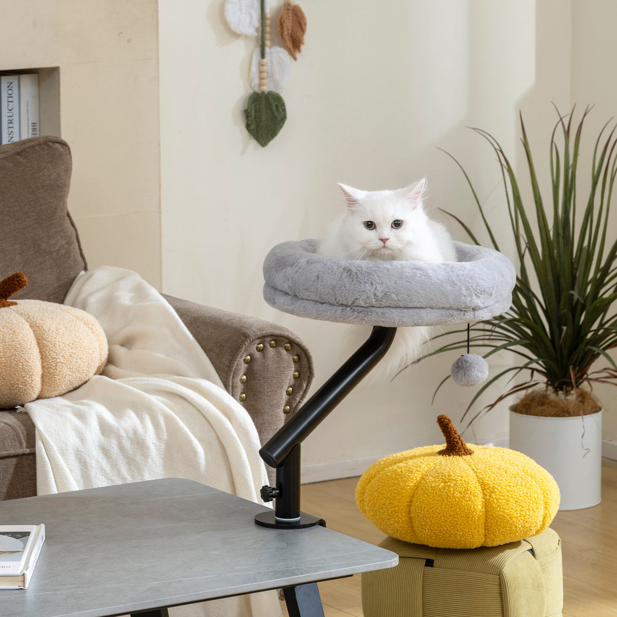Lit de bureau pour chats