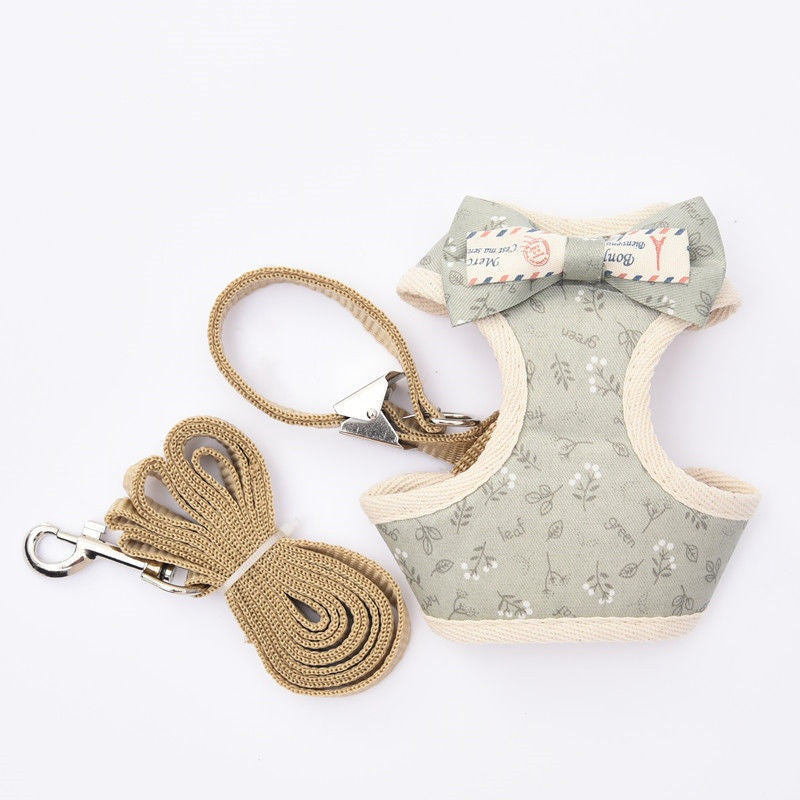 Leash de style vestois pour les chats et les chiens à pied