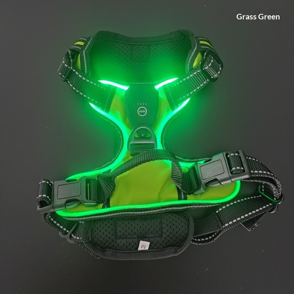 Led Pet Light-Up Harness Nighttime Dog Walking Anti-Collision Veste d'éclair réglable pour