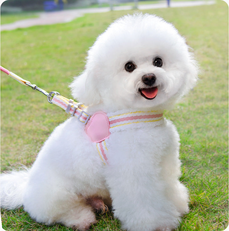 Leash de chien Été Respirant Corgi Shiba Inu Bichon Chest Vest Marcher Leash de chien Petit Et